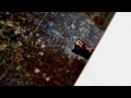 Art and video and music by Michael Kessler