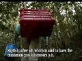 How to catch the \" Flying Rods \" 02