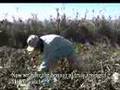 How to catch the Flying Rods 02
