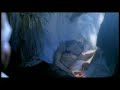 Madonna - Bad Girl