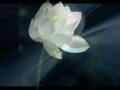 Death and Immortality Part 3 of 3