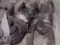 فيلم دمار دارفور الجزء الاول جريدة البديل www.elbadeel.net