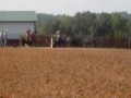 7-6-08 007.AVI