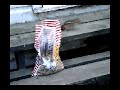 Chipmunk getting nuts