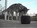 I liked a YouTube video http://lnk.ms/P25TB