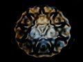 cymatic rosarium chakra