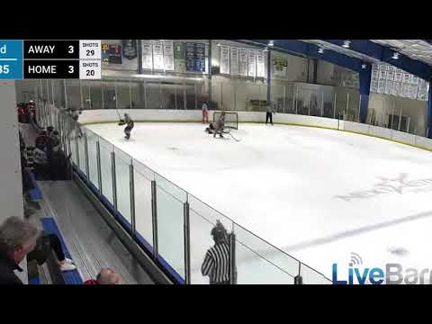 Zakhar's goal in OT
