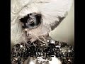 Lady Gaga - Dance in the Dark [Full HQ] Exclusive The Fame Monster.flv