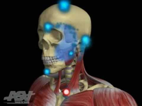 for cranio facial pain beautiful women from singapore are