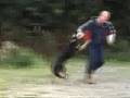 K9 Xena Personal Protection Dog Muzzle Attack Training