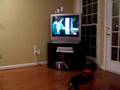 Our Dachshund Hates TLC's What Not to Wear