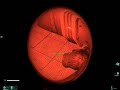 F.E.A.R. - Perseus Mandate Demo - Walkthrough Pt.2