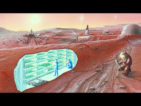 Os futuros colonos de Marte poderão ter miopia, ossos mais densos e até outra cor de pele