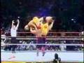 best of road warriors..