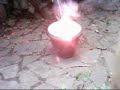 Minha obra-prima: Jardinagem
Filmado em Maio de 2004
Editado por mim mesma no Windows Movie Maker