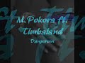 M.Pokora ft. Timbaland - Dangerous (2oo8) [frani]