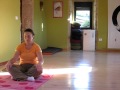 Ver Video