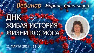 ДНК - живая история жизни Космоса
