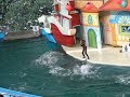 DolphinShow SeoulGrandPark