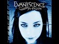 Evanescence - Taking Over Me