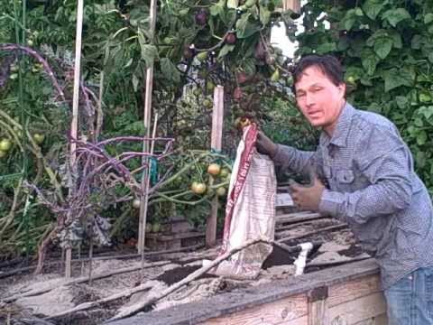 how to harvest vegetables from a garden
