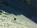 descente de pierrier à la grande lauziere