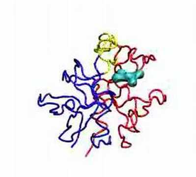 HIV Protease Inhibitor XK263 Binding