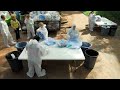 Peace College trash audit
