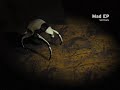MadEP vs. Ra - Ultrafood (Trailer)