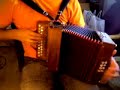 diatonic accordeon (In continental mood/Flatworld) diatonic accordeon (In continental mood/Flatworld)