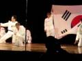 Pioneer TKD Lesson I