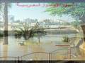 ثوار الأحواز العربية (33) ضاحي الاحوازي