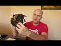 Bob Long MVP, Gator Black, Tippmann Crossover, Empire Vidar Goggle, Hand Pump