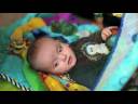 Charlie HD Test Movie