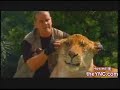 Ligers