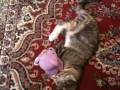 Anarah and plush bear.