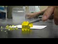 Looking for more ways to obliterate gummy bears in scientific ways, Joanne freezes a gummy bear in liquid nitrogen. She also soaked a gummy bear over night to demonstrate the ability of gelatin to hold large amounts of water--and then she freezes that one too. She has a 
