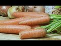 Mohrrüben Gulasch zubereiten - Gulaschrezept kochen