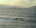 wadegonesurfing