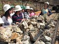 gold,ore,bullion