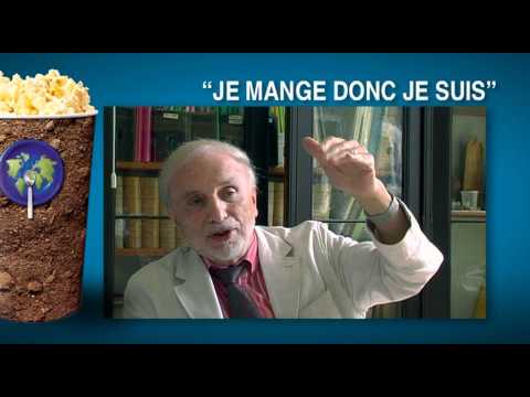 Voir la vidéo