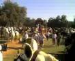 romeria setenil 2007