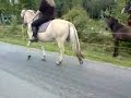 Feldon 080723 skrittar Feldon 080723 skrittar