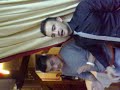 fiesta-liala.html
