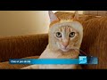FRANCE 24 Sur Le Net - 09/02/2012 SUR LE NET