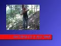 Parco Avventura Monte Tamaro, La terrorizzante impresa di Silvia! (Svizzera -29 luglio 2007-) Storia del Parco Avventura:Monte Tamaro montagna situata nel triangolo tra Lugano-Bellinzona-Locarno. Da Rivera facilmente raggiungibile con mezzi pubblici e privati, una comoda telecabina vi porta sull'Alpe Foppa a 1530 m/s/m dove si trova un grande ristorante, la Chiesa Santa Maria degli Angeli progettata dall'architetto Mario Botta e la partenza di passeggiate panoramiche. Nel 2004 è stato aperto il Parco Avventura e il Percorso Mountain Bike alla Stazione Intermedia. Nel 2005  è stata aperta la Slittovia all'Alpe Foppa. All'inizio del mese di luglio di quest'anno è stata aperta sull'Alpe Foppa la tirolese più lunga della Svizzera (Swiss).www.montetamaro.ch (Sito sul Parco)www.elencoblog.spaces.live.com (Vari Miei Blog) www.celicalorenzo.spaces.live.com (Il Mio Sito sulla Celica)