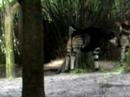 Okapi: Disney\ Okapi: Disney\