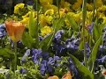 Spring, Wiosna Antonio Vivaldi Part 1 Spring, Wiosna Antonio Vivaldi Part 1