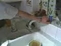 hedger drunk pissed hedger drunk pissed