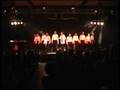 Der Männerchor Hessigheim - set them free